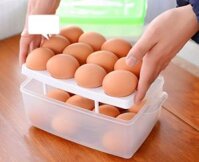 HỘP NHỰA ĐỰNG TRỨNG GÀ 2 TẦNG