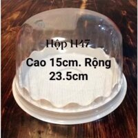 Hộp nhựa h47 (set 50 cái) kích thước to cao và rộng (lọt lòng 19cm cao 13cm)