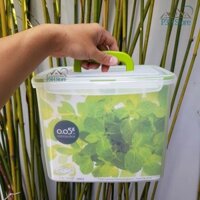 Hộp nhựa kín hơi đa năng Lock&Lock dung tích 2.6L 4.6L 5.5L 7,1L ZZF1