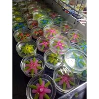 Hộp nhựa tròn trong 15/20cm đổ thạch rau câu, đóng gói bánh kẹo