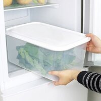 Hộp Nhựa Trong Suốt Hình Chữ Nhật Có Nắp Đậy Đa Năng Đựng Thực Phẩm Trong Tủ Lạnh