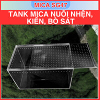 Hộp nuôi bò sát, côn trùng, kiến cảnh, giáp xác-Chuồng nuôi bò sát, bọ