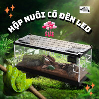 HỘP NUÔI CÓ ĐÈN LED + ĐỒNG HỒ NHIỆT KẾ CAO CẤP LẮP GHÉP BÒ SÁT, THÚ CƯNG, BỂ HỒ RÙA, RỒNG ÚC, IGUANA
