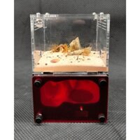 Hộp nuôi kiến H01/ Tank kiến H01