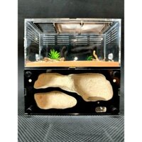 Hộp nuôi kiến H03 - vật liệu thạch nhũ