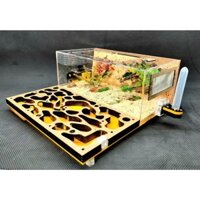 Hộp nuôi kiến/tank nuôi kiến N06 mica
