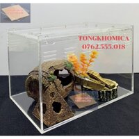 Hộp nuôi nhện Tarantula/ bò sát (rết, rắn,...) 30x20x20cm