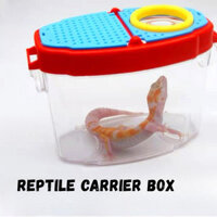 Hộp nuôi rắn, rùa, nhện, tắc kè, thằn lằn, côn trùng, ếch có sừng, hộp vận chuyển ngoài trời