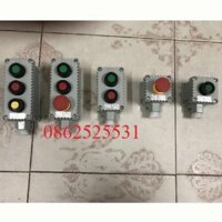 Hộp nút nhấn đôi phòng nổ BZA53-2