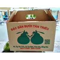 Hộp quà 2 trái bưởi da xanh Tân Triều để biếu tặng
