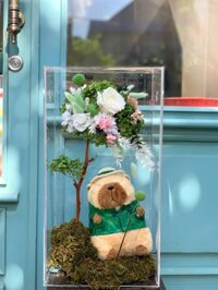 Hộp quà hoa khô PopArt & gấu bông H48xW25