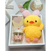 Hộp quà tặng gấu bông, ly sứ kèm hoa sáp thơm vĩnh cửu tặng người yêu, bạn bè