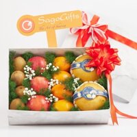 Hộp Quà Tặng Sagogift Trái Cây tươi 02 - Lê HQ, Kiwi, Táo Envy Mỹ, Quýt Úc