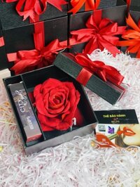 Hộp quà tặng son kem Belips hộp hoa hồng 1 son  - C01 - Muse Orange