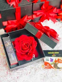 Hộp quà tặng son kem Belips hộp hoa hồng 1 son  - C01 - Muse Orange