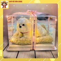 Hộp Quà Tặng Thú Cưng Trong Suốt, Đầy Đủ Phụ Kiện Đèn Led, Thiệp, Túi Đựng, Quà Tặng Sinh Nhật, Người Thân