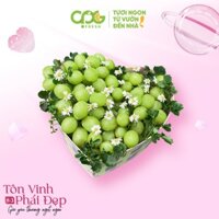 Hộp quà trái tim Nho xanh không hạt