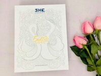 Hộp quà Valentine 2021 Endless love She Chocolate Việt Nam SHV05