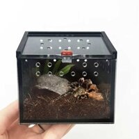 Hộp Sinh Sản Bò Sát Côn Trùng Acrylic Rõ Ràng Phù Hợp Với Móng Tay Tarantula Nhện Với Cửa Trượt