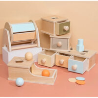 Hộp Thả Bóng - Giáo Cụ Montessori - Phát Triển Phối Hợp Tay Mắt - Đồ chơi gỗ 0-3 tuổi