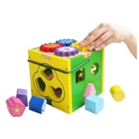 Hộp thả khối đa năng  Winwintoys - 67022