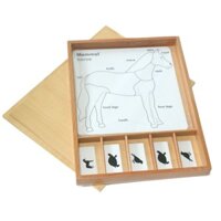 Hộp thẻ học 3 phần động vật sinh học giáo cụ Montessori
