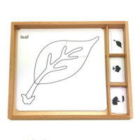 Hộp thẻ học 3 phần thực vật sinh học giáo cụ Montessori