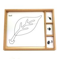 Hộp thẻ học 3 phần thực vật sinh học giáo cụ Montessori