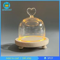 Hộp Thủy Tinh Trong Suốt Hình Mái Vòm Dùng Trưng Bày Hoa DIY Cho Ngày Valentine