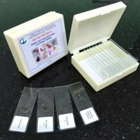 HỘP TIÊU BẢN MẪU KÍNH HIỂN VI ĐỘNG VẬT NGUYÊN SINH VÀ KÍ SINH TRÙNG.