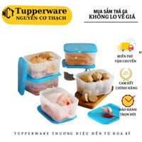 HỘP TRỮ ĐÔNG 5 LẠNG THỰC PHẨM 650ML ( 1 HỘP ) TUPPERWARE CHÍNH HÃNG