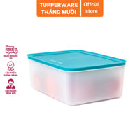 Hộp trữ đông Freezermate Gen II 5.7L Tupperware nhựa nguyên sinh (không vỏ hộp)