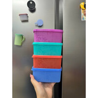 Hộp trữ đông Tupperware, 400ml, hàng Tup Malay, màu sắc ngọt ngào