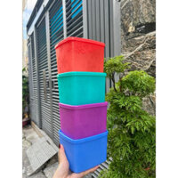 Hộp trữ đông Tupperware, 800ml, hàng Tup Malay, màu sắc ngọt ngào
