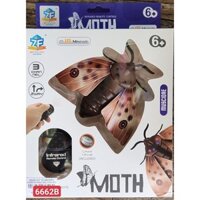 HỘP VE SẦU ĐIỀU KHIỂN TỪ XA PIN NÚT ÁO