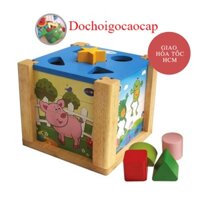 Hộp xếp hình thả khối Winwintoys