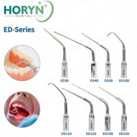Horyn Nha Khoa Siêu Âm Scaler Đầu Chui Đầu Nha Khoa Nội Nha Scaler Đầu Phù Hợp Với EMS Chim Gõ Kiến SATELEC DTE NSK