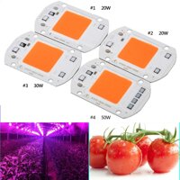 Hossen 110V/220V 20W/30W/50W Full Spectrum LED COB Chip Grow Light Plant Growing Lamp Bulb