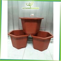 [HOT] 10 Chậu nhựa cỡ lớn trồng cây 30×20cm c/lượng, hg C/ty.