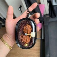 [HOT 2024] Wenwan Quả Óc Chó Túi Bảo Quản Trong Suốt Chống Bụi Vòng Tay Hộp Đựng Trang Sức Phật Hạt