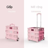 HOT- [ Ảnh thật ] Xe đẩy mua sắm tạp hóa Xe đẩy mua sắm nổi tiếng Internet siêu thị mua sắm tạp hóa