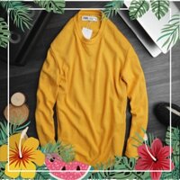 [HOT] Áo len Zara | Restock Zara longsleeve men 2019 | Màu vàng Full size [Có FS EXtra]