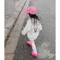 HOT Áo nỉ mũ có túi cho bé hình eo vì thỏ, áo nỉ hoodie cho bé, TP KIDS,[M463]