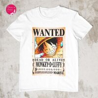 HOT🔥 Áo Phông One Piece Bounty Poster Anime mẫu mới cực chât