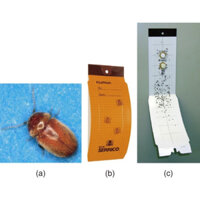 [HOT] Bẫy mọt thuốc lá NewSerrico (Nhật Bản)