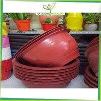 [HOT] Combo 10 chậu nhựa trồng hoa. T48 cm c/lượng, hg C/ty.