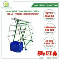 [HOT] Giàn Trồng Rau Thuỷ Canh Chữ A 4 Tầng 120 lỗ rau