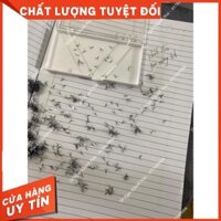 HOT  Mi fan 5D, Mi volume 5D 23