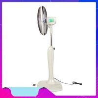 [Hot] Quạt cây benny BF-16GC [Số 1 KV]