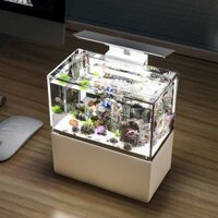 [hot sale]Bể cá mini thủy sinh để bàn làm việc